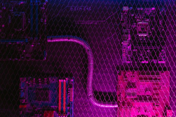 Comment intégrer des leçons de biologie marine dans un jeu de simulation sous-marine ?